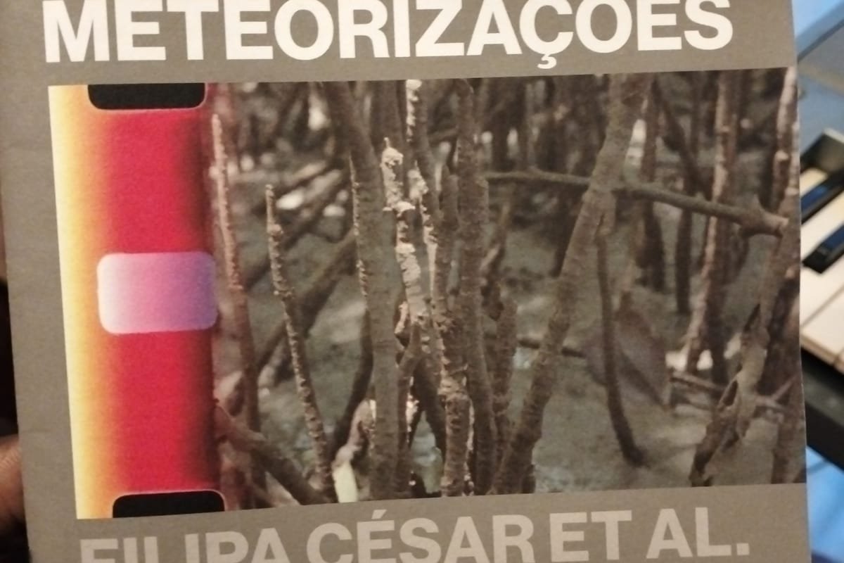 Inauguração de Meteorizações: exposição antológica de Filipa César et al